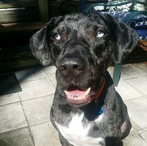 Meet your Posher, Kellie